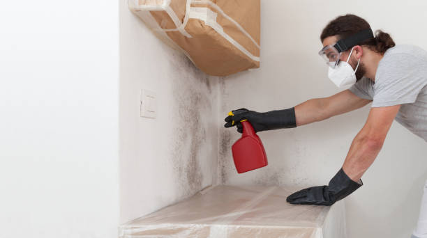 Professional Mold Inspection technician working in Woodville, VA
