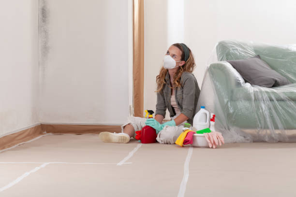 Reliable Mold Inspection contractor in Woodville, VA by WQB Mold Removal